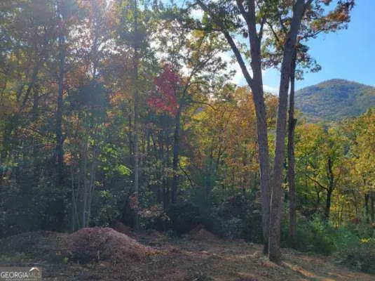 LOT 74 Mine Cart Trail, Blairsville, GA 30512
