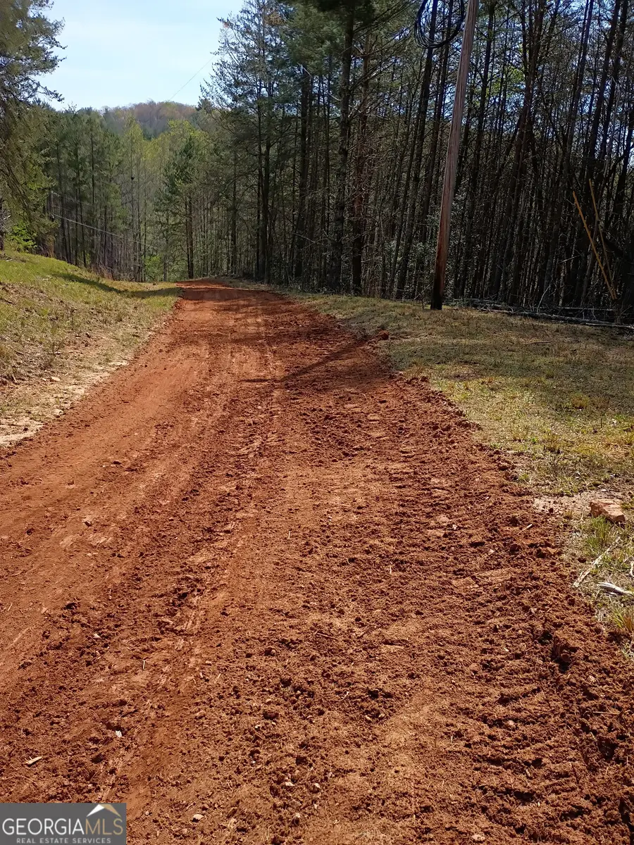 0 Rizzitello Lane, Blairsville, GA 30512 - #2