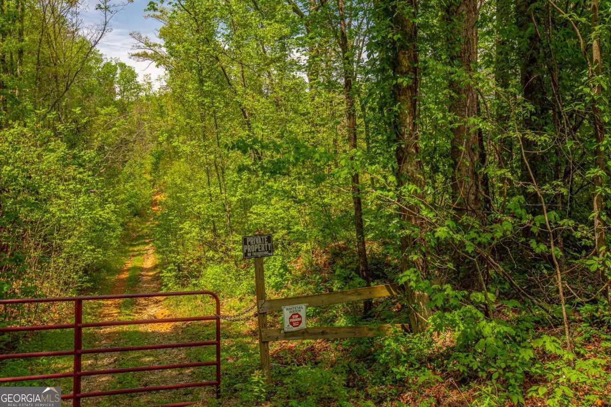 0 Antioch Valley Road Trct 3, Dawsonville, GA 30534 - Image #1