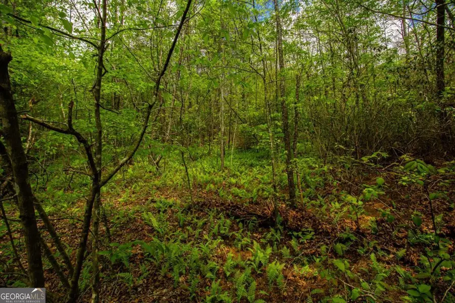 0 Antioch Valley Road Trct 3, Dawsonville, GA 30534 - Image #3