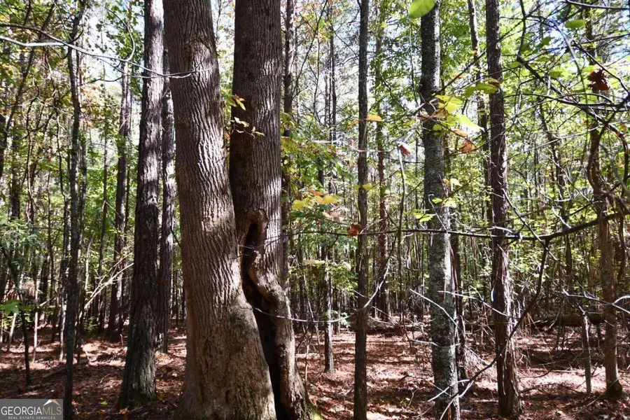 00001 Poplar Springs Road, Buchanan, GA 30113 - Image #3