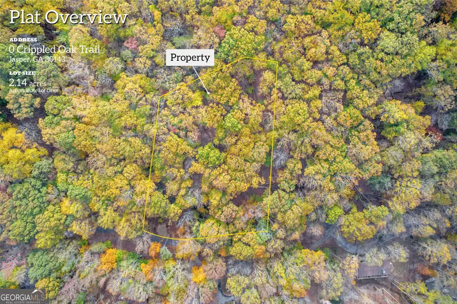 0 Crippled Oak Trail, Jasper, GA 30143 - Image #2