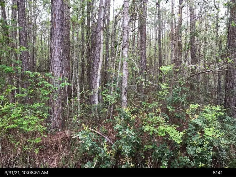 LOT 35 Lewis Lane, Townsend, GA 31331 - #2