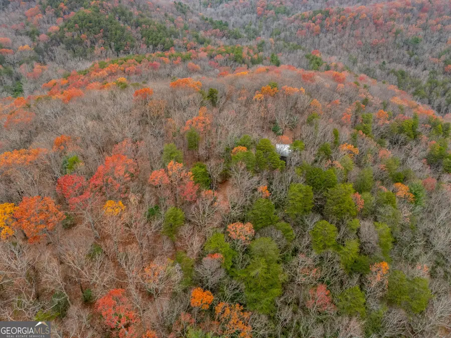 198 Hollow Log Trail, Ellijay, GA 30536 - Image #3
