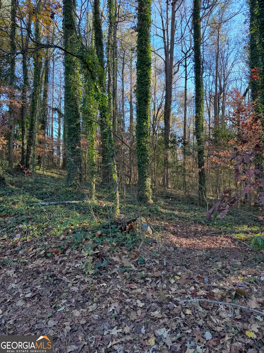 0 Headland Drive, East Point, GA 30344 - Image #3