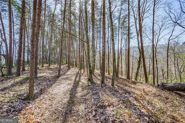 0 Westview Drive, Jasper, GA 30143