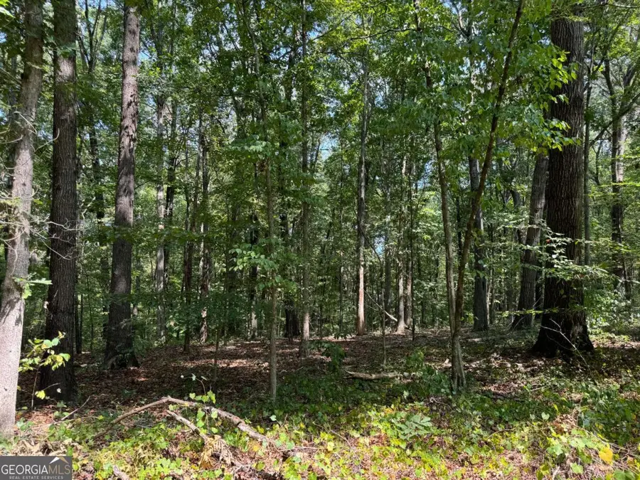 348 A Pat Rich Drive, Canton, GA 30115 - Image #3