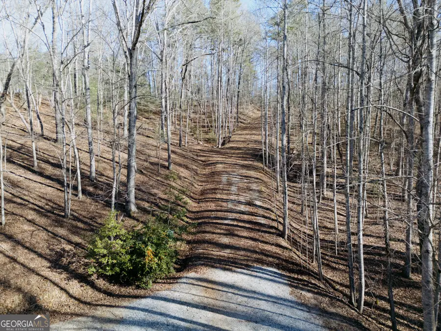 0 Casa Rio Drive, Cornelia, GA 30531 - Image #3