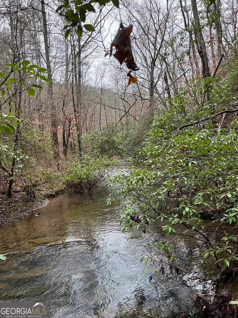 1551 Dorian Court, Ranger, GA 30734 - Image #2