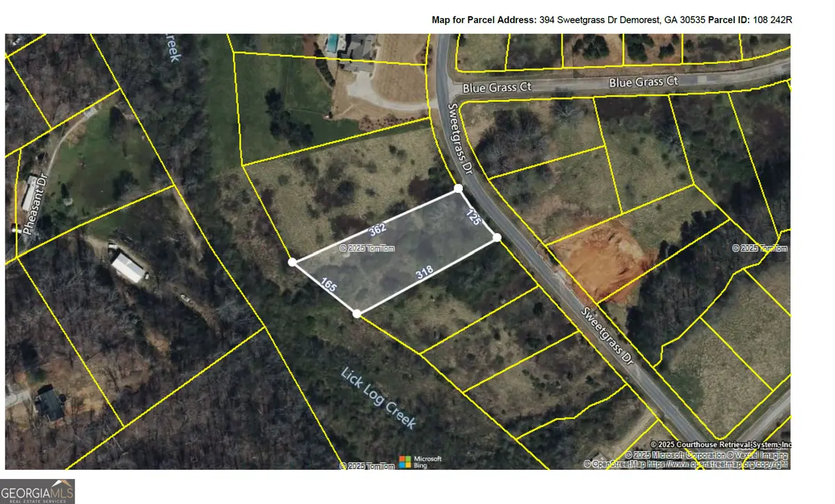 394 Sweetgrass Drive, Demorest, GA 30535 - Image #1