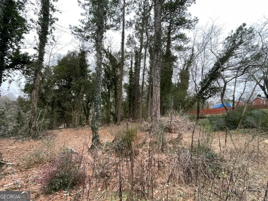 0 Carrington Place, Rome, GA 30161 - Image #3