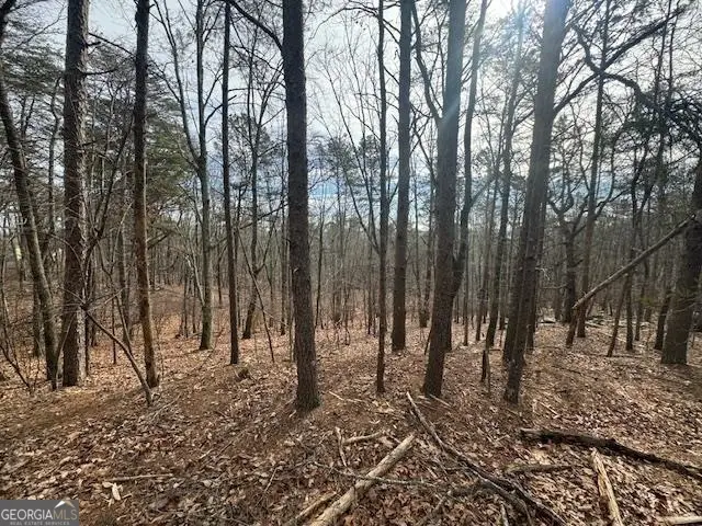 117 Leopard Court, Waleska, GA 30183 - Image #2