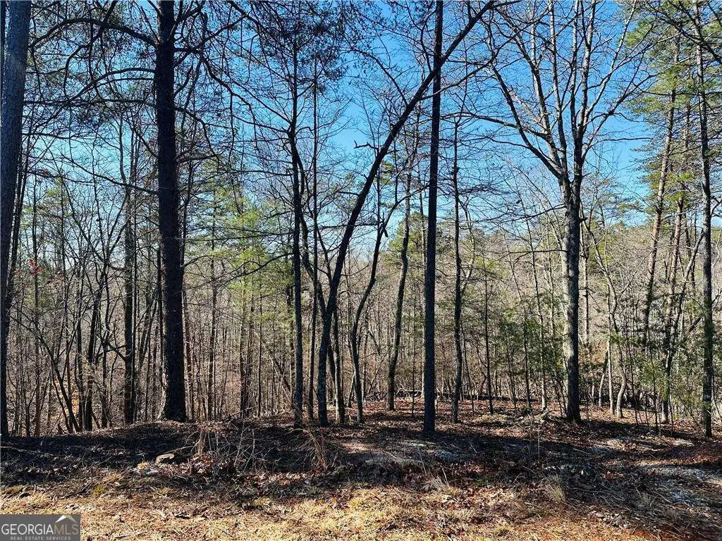 LOT 20 Crown Mountain Way, Dahlonega, GA 30533 - #1