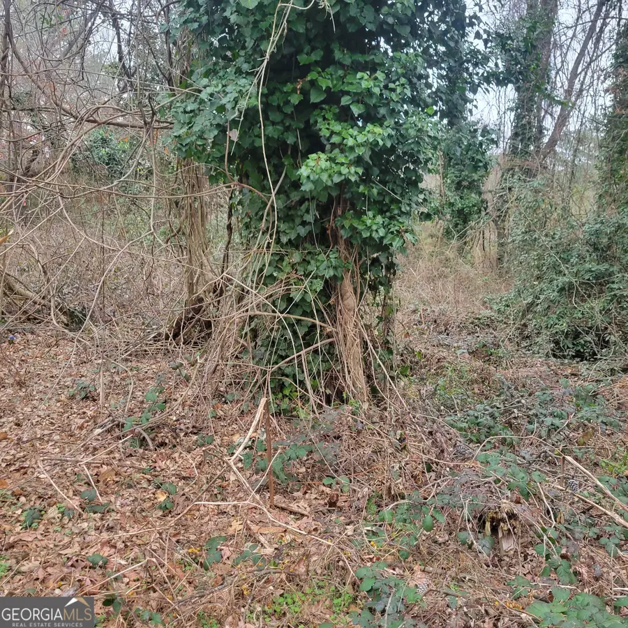 4682 Pine Circle, Ellenwood, GA 30294 - Image #3