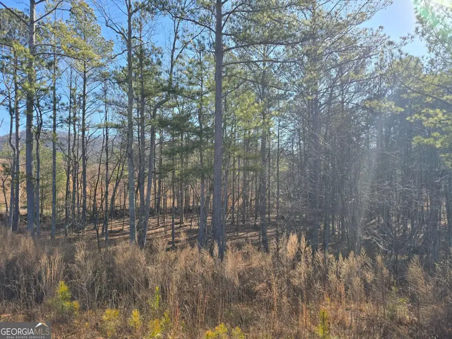 0 Highgrove Drive, Talking Rock, GA 30175 - Image #3