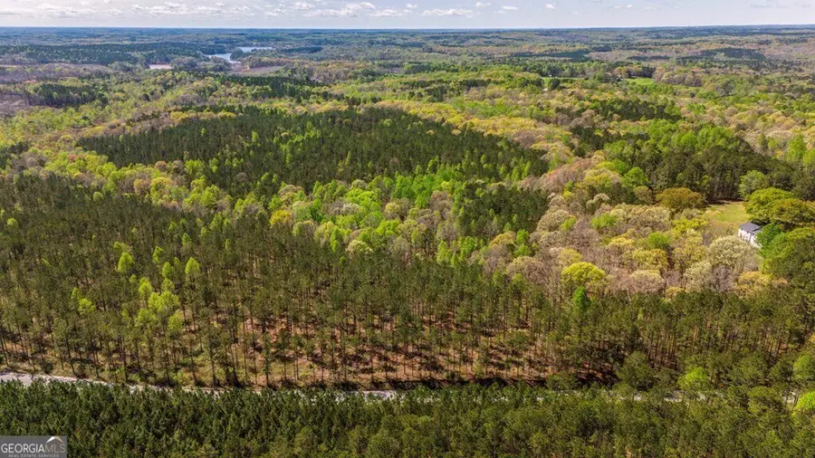 TRACT 9 Horsley Mill Road, Carrollton, GA 30116 - Image #2