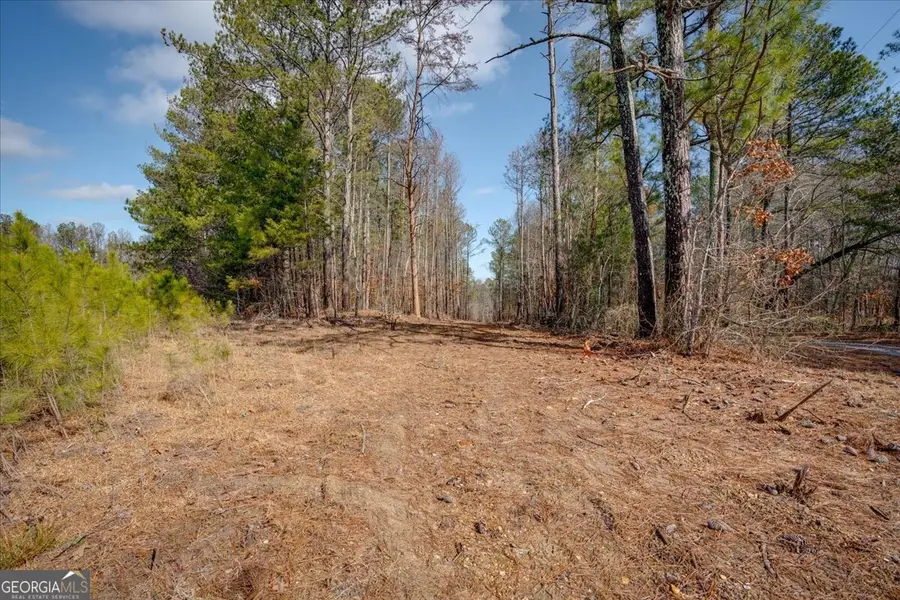 0 John Kay Road, Taylorsville, GA 30178 - Image #3