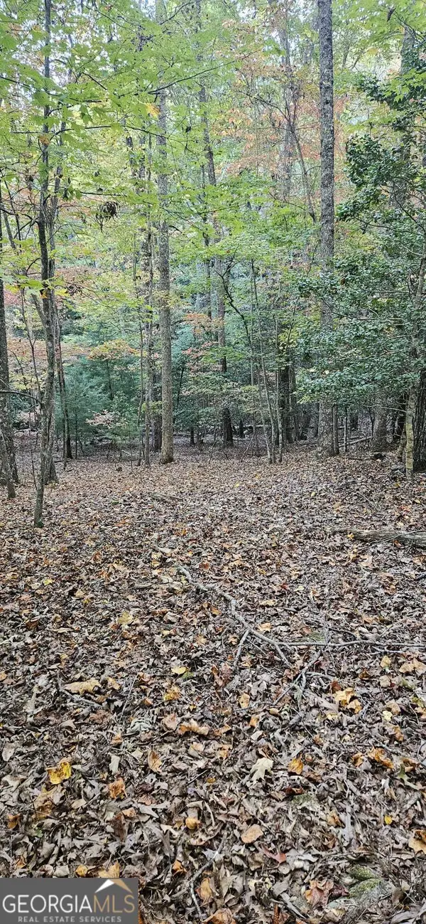 5 Goldmine Road #LOT 5, Morganton, GA 30560