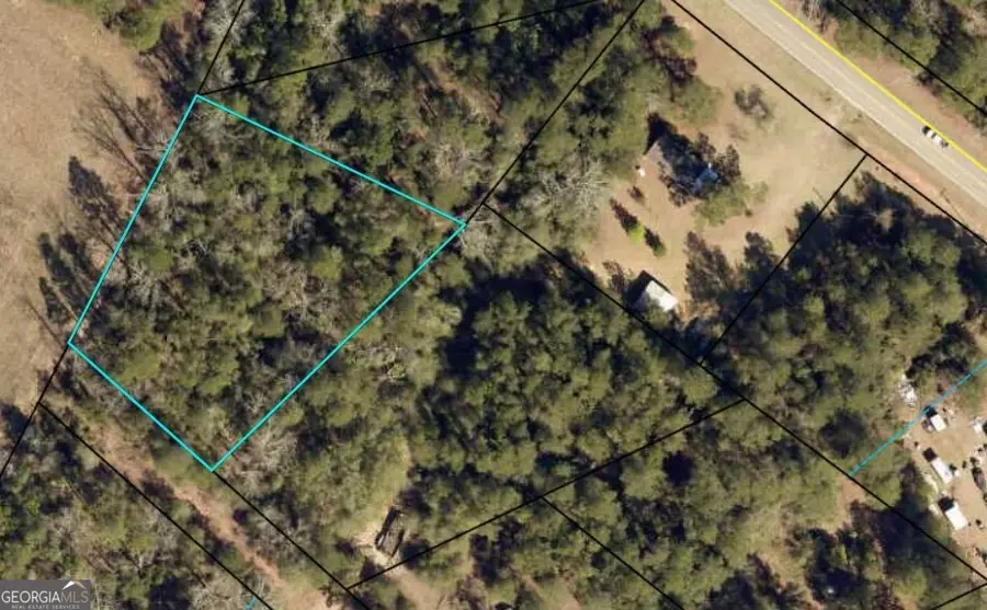 0 Wayne Street, Louisville, GA 30434 - Image #3