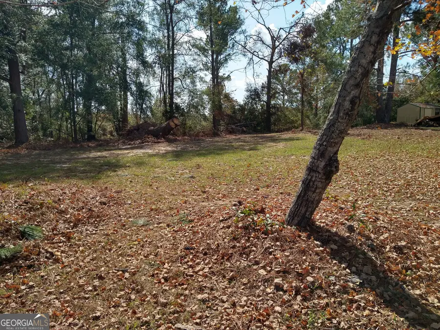 0 W Hwy 24, Bartow, GA 30413 - Image #3