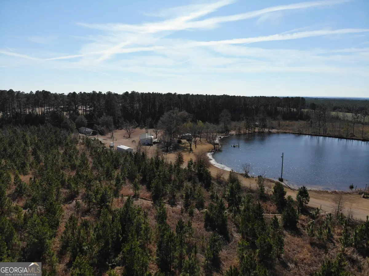 271 Marchants Dairy Road, Rhine, GA 31077 - #1