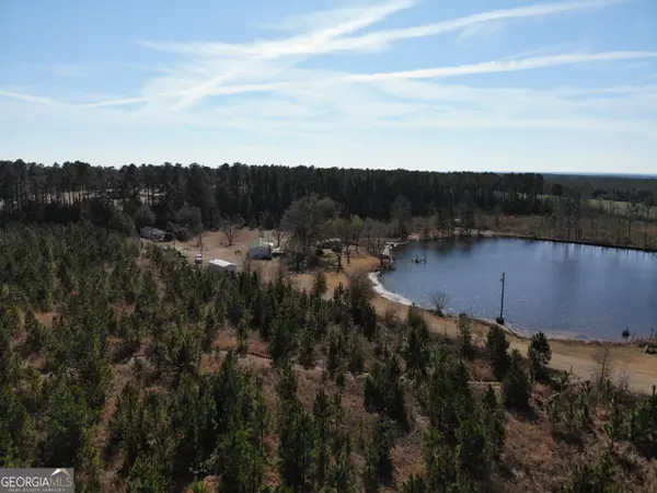 271 Marchants Dairy Road, Rhine, GA 31077