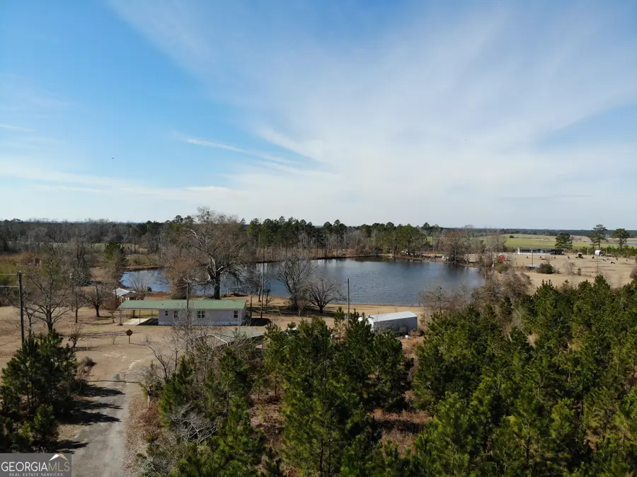 271 Marchants Dairy Road, Rhine, GA 31077 - #3