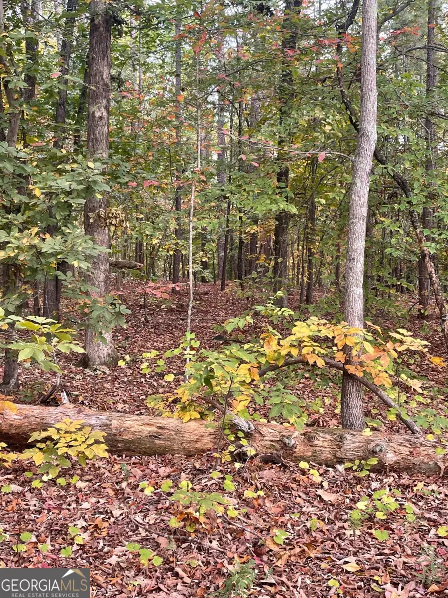 41 Foxfire Lane, Cartersville, GA 30120 - Image #2