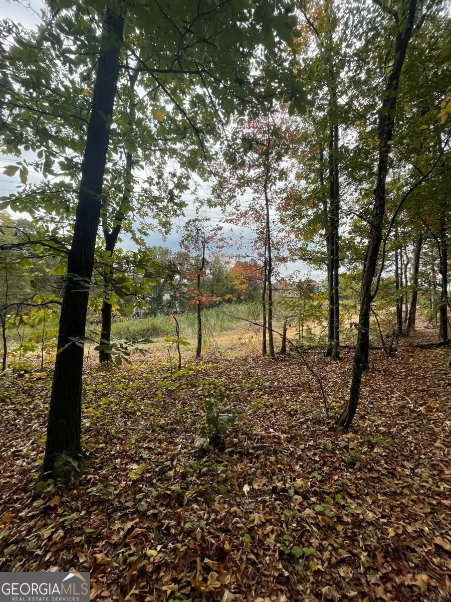 41 Foxfire Lane, Cartersville, GA 30120 - Image #3