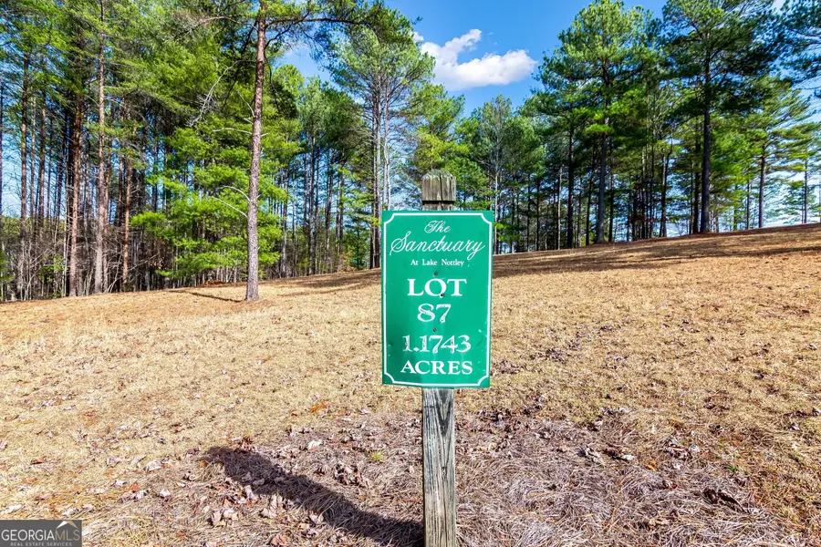 LOT 87 The Sanctuary, Blairsville, GA 30512 - Image #2