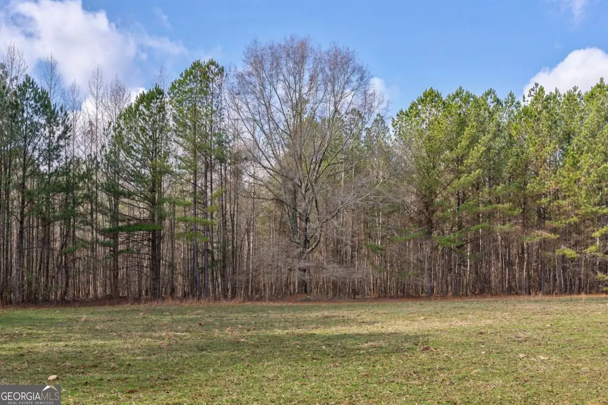 0 Double Bridges Road, Madison, GA 30650 - Image #1