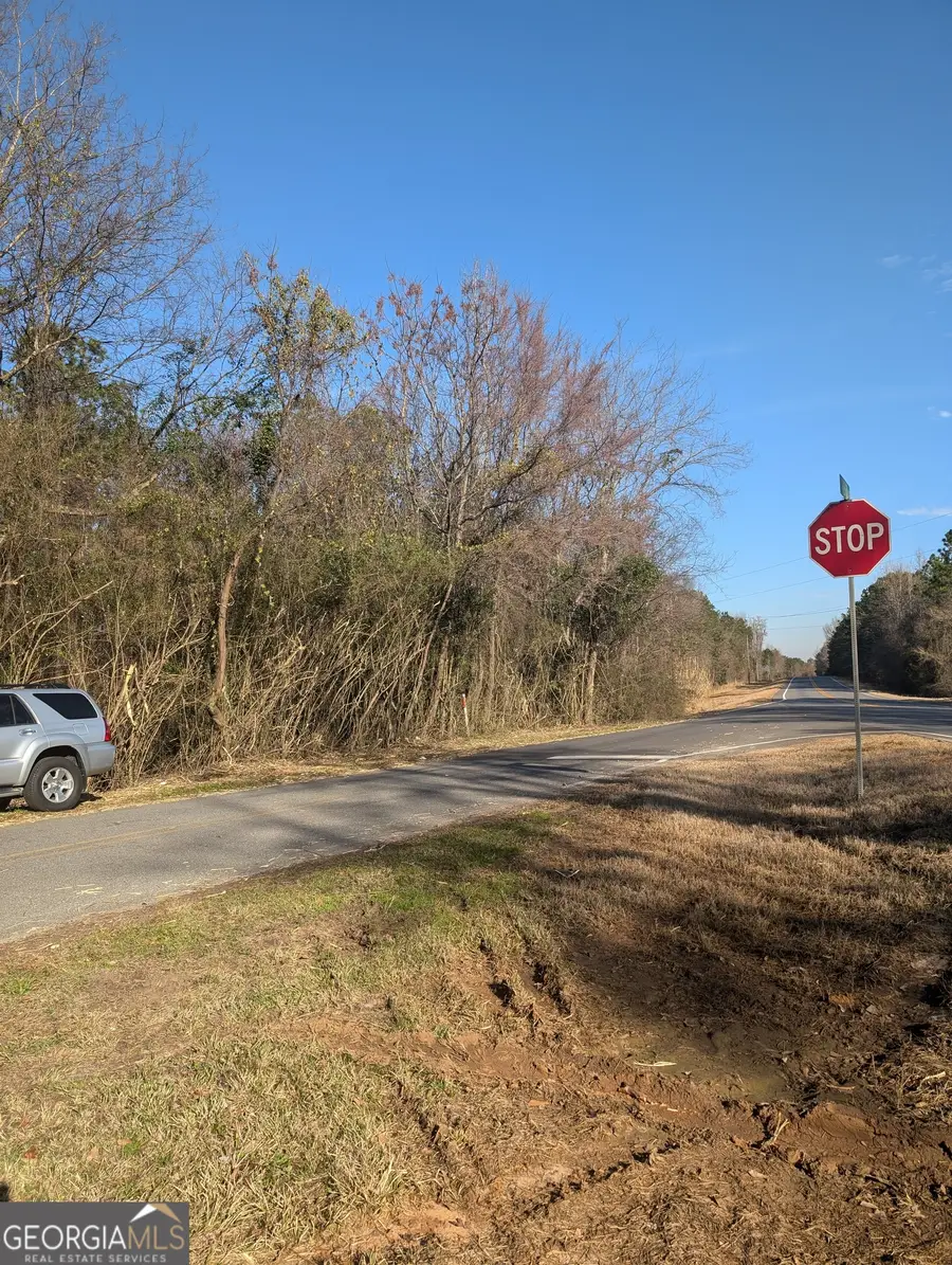 0 Parker Road, Dry Branch, GA 31020 - #3
