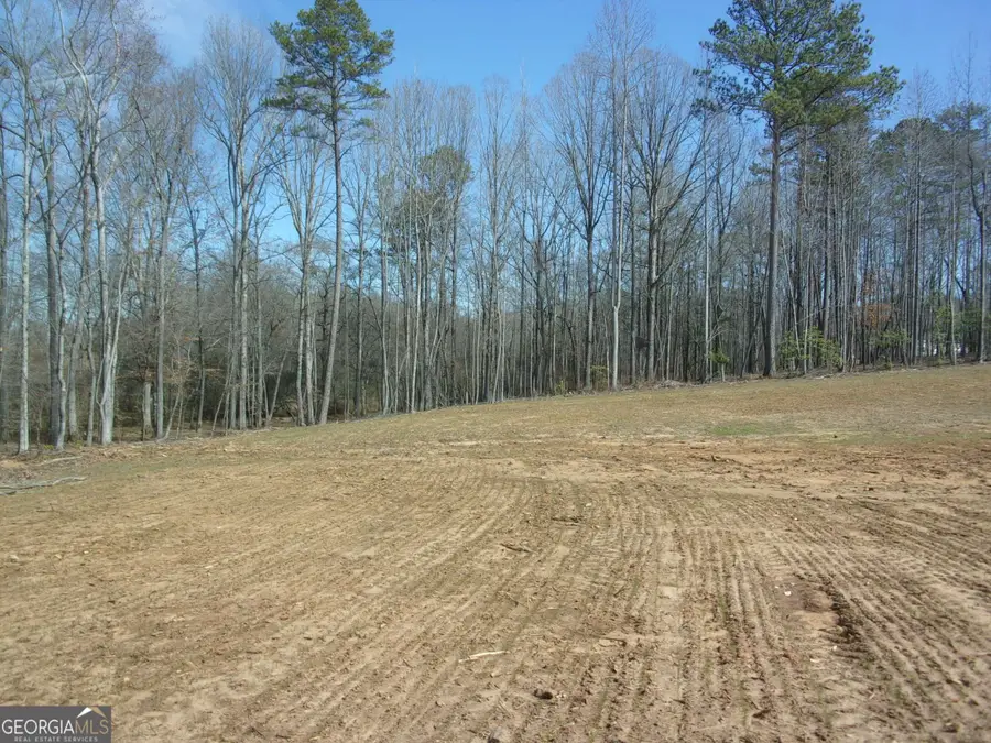 4360 Highway 186, Good Hope, GA 30641 - #3