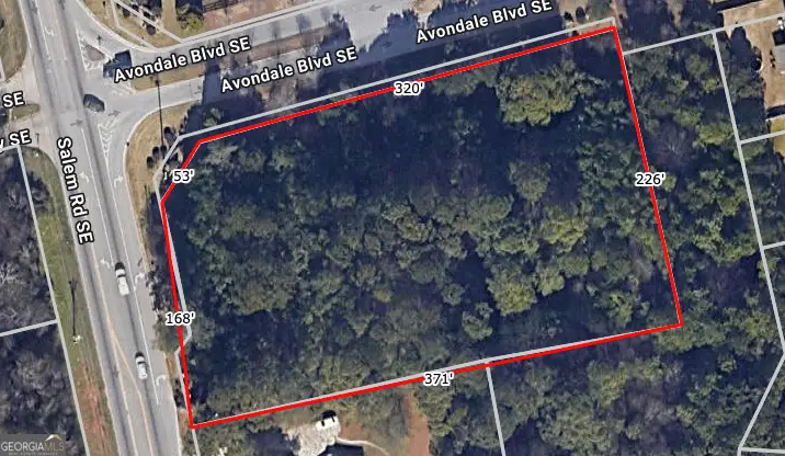 0 Salem Southeast Road, Conyers, GA 30013 - Image #2