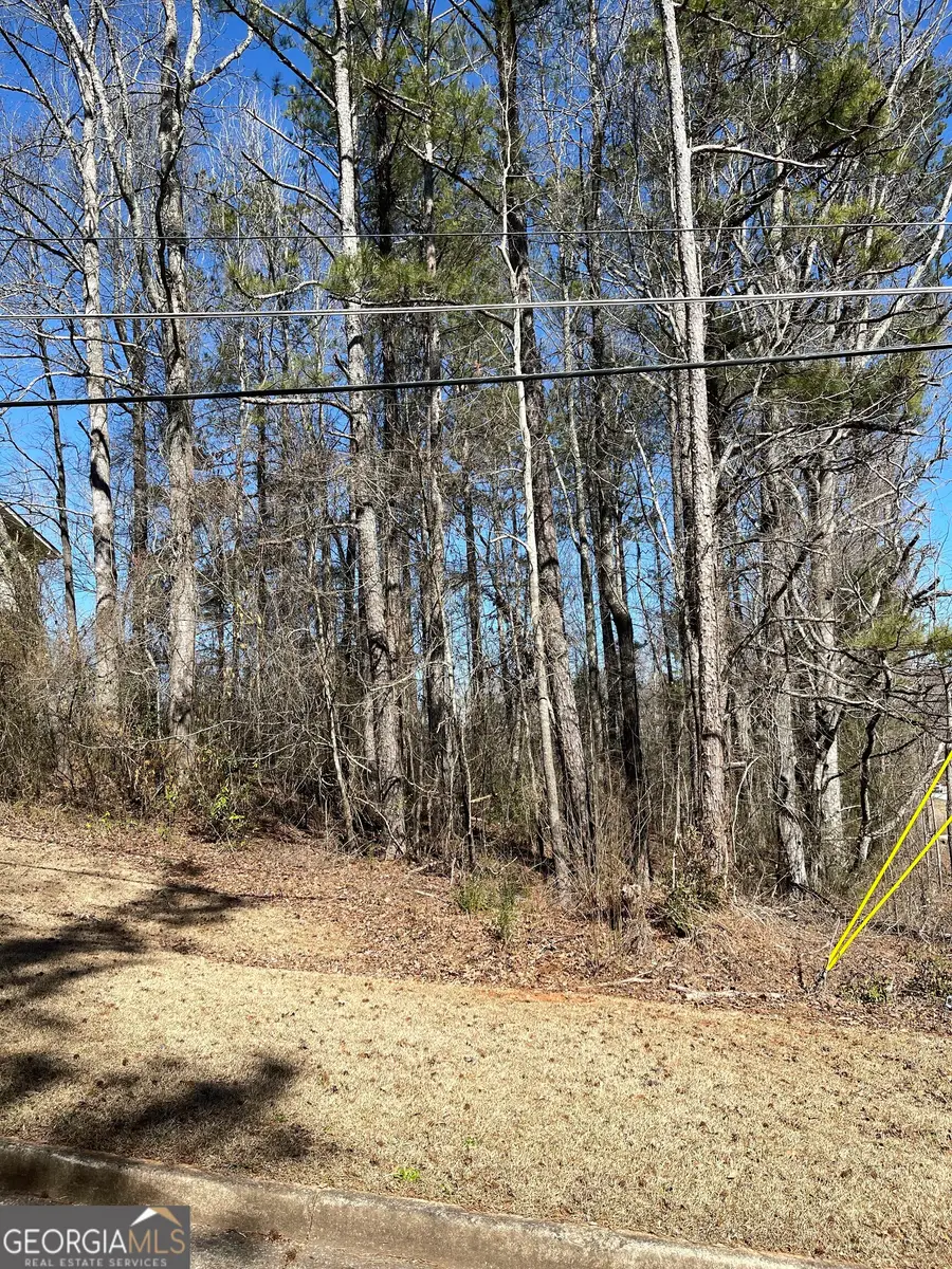 8758 Daerwater Drive, Winston, GA 30187 - Image #3