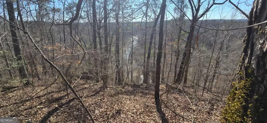 00001 Flatbottom Road, Ball Ground, GA 30107 - Image #2