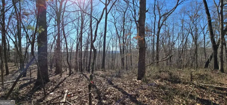 00001 Flatbottom Road, Ball Ground, GA 30107 - Image #3