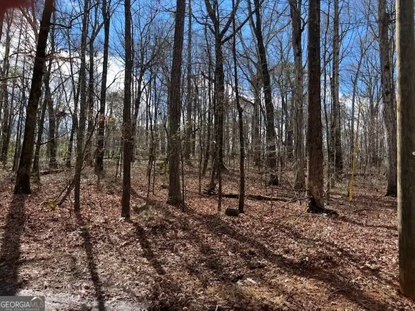 3871 Martin Drive, Ellenwood, GA 30294