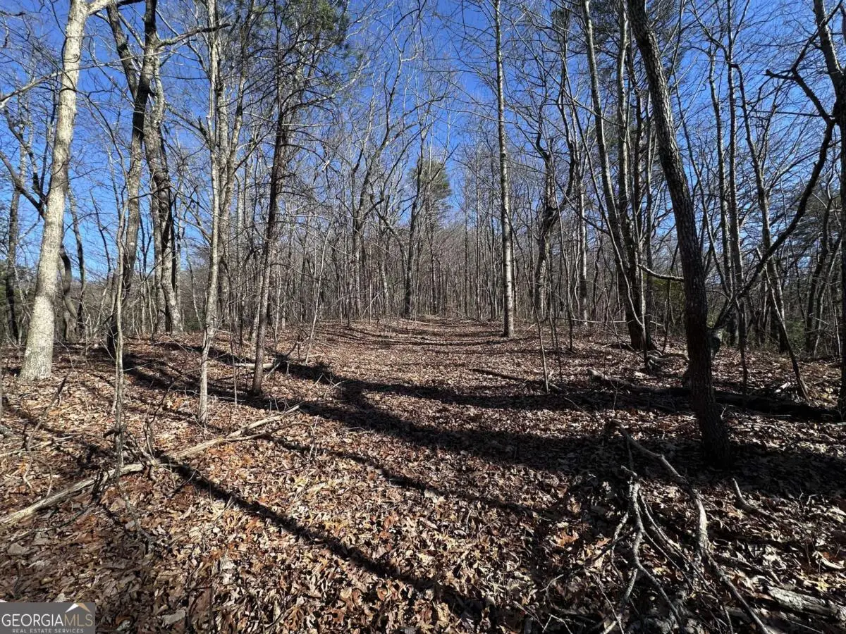 57 St Andrews Way, Ellijay, GA 30536 - Image #1