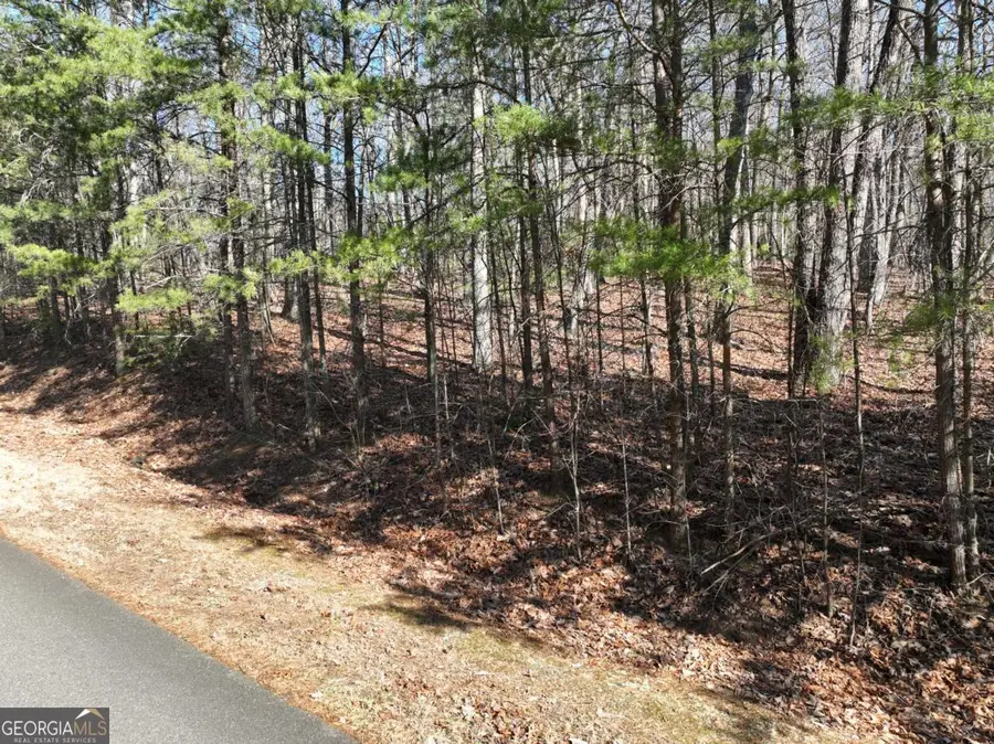 57 St Andrews Way, Ellijay, GA 30536 - Image #2