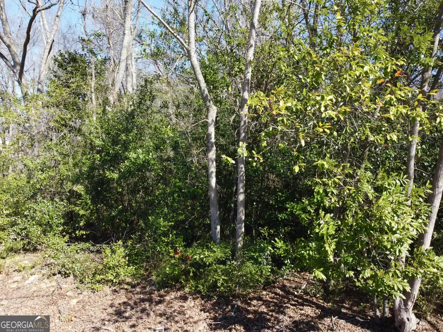 1070 Barton Street Nw, Conyers, GA 30012 - Image #3