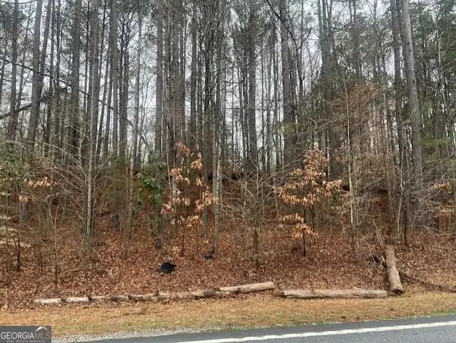 0 Cascade Palmetto Highway, Chattahoochee Hills, GA 30213 - Image #3