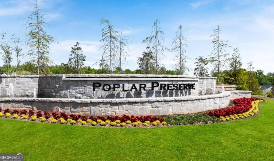 273 Lauritsen Way #290, Newnan, GA 30265 - Image #3