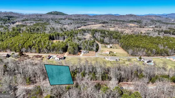 LOT 42 Coras Way #42, Blairsville, GA 30512