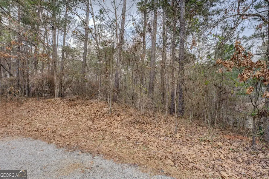 0 Goldeneye Court #LOT 90, Monticello, GA 31064 - Image #2