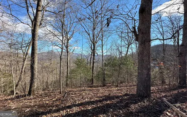 0 Clark Drive, Hiawassee, GA 30546