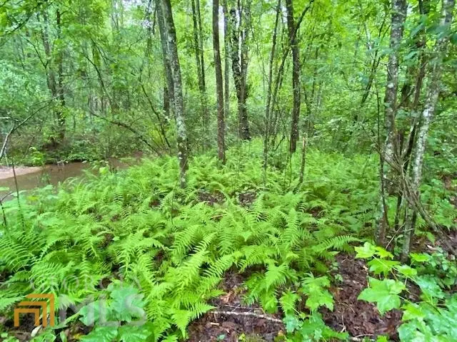 2243 Damascus Road, Ball Ground, GA 30107 - Image #3