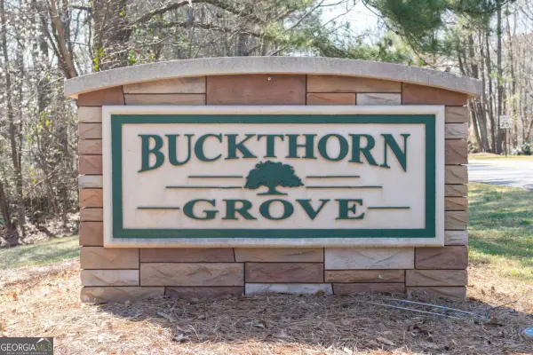 10 Buckthorne Drive, Newnan, GA 30265