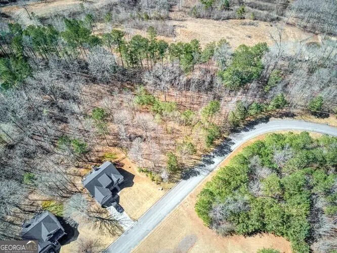 263 Principal Meridian Drive, Dallas, GA 30132 - Image #1