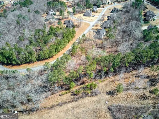 263 Principal Meridian Drive, Dallas, GA 30132 - Image #3